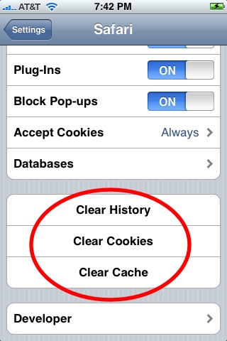 Clear History in iPhone Settings