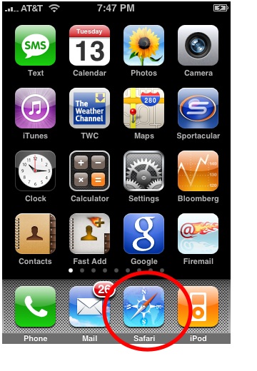 clear browser history safari iphone