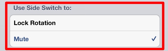 iPad Side Switch Settings