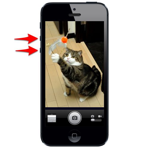 iPhone 5 volume buttons and camera app